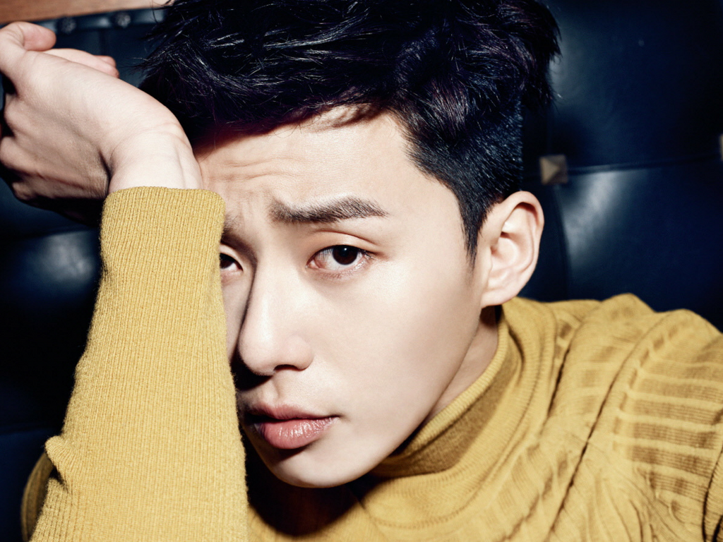 Actor Spotlight Park Seo Joon Kdrama actor Park Seo Joon